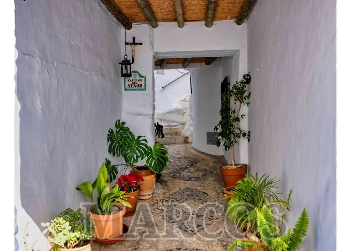 Apartamento Garden Calaceite Málaga